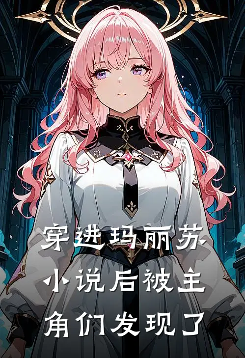 穿进玛丽苏小说后被主角们发现了