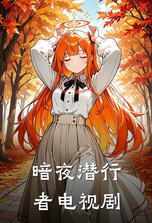 暗夜潜行者电视剧